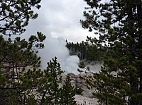 Yellowstone Norris Geyser (13).JPG